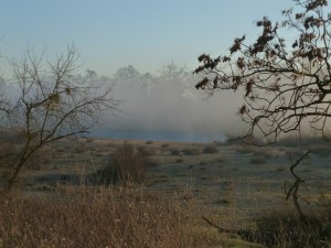 American-river-mist.jpg